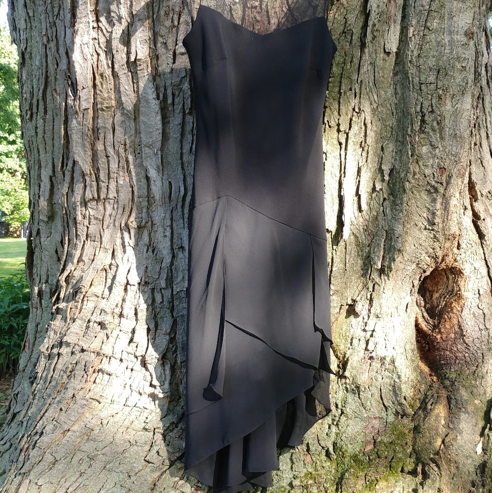 Beautiful Evan-Picone Dress